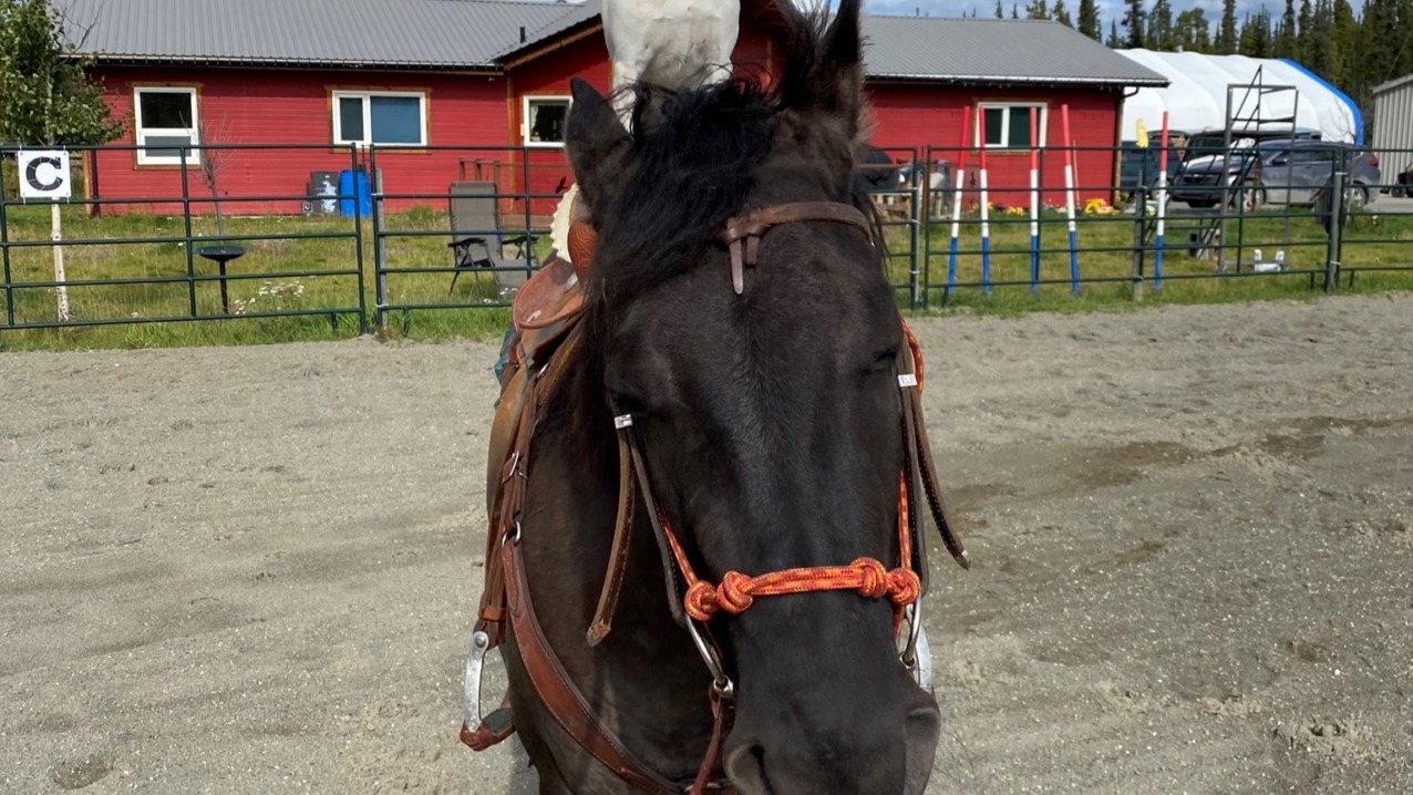 Riding Lessons